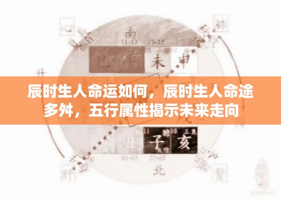 辰时出生人的命运解析，五行属性揭示未来走向与命途多舛的真相