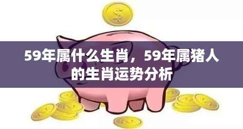 59年属猪人的生肖运势深度解析