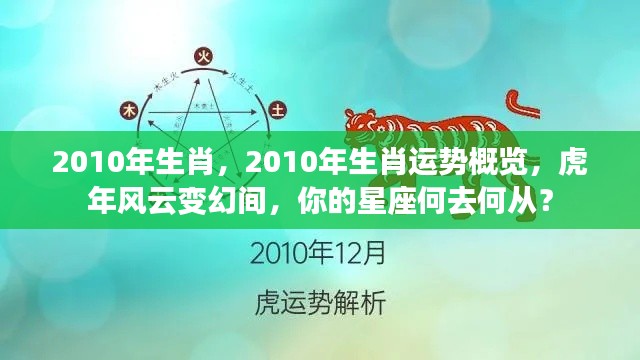 2010年虎年生肖运势概览,星座风云变幻指南