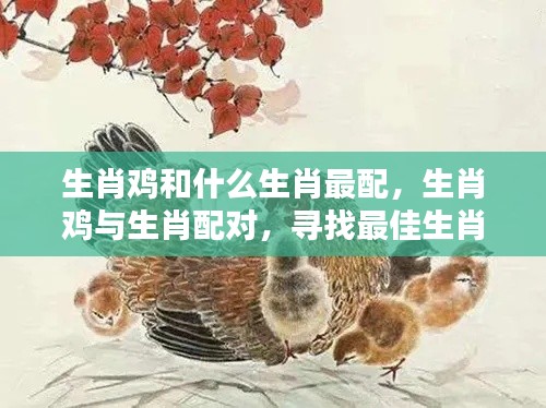 生肖鸡的最佳生肖配对伴侣寻找