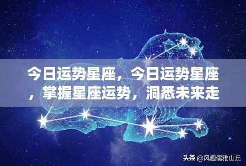 今日星座运势详解,掌握运势,洞悉未来走向