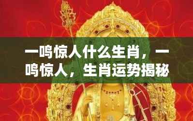 揭秘生肖运势,一鸣惊人的生肖揭秘!