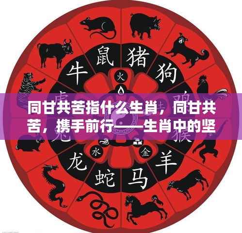 生肖中的坚韧与团结,同甘共苦的精神与携手前行之路