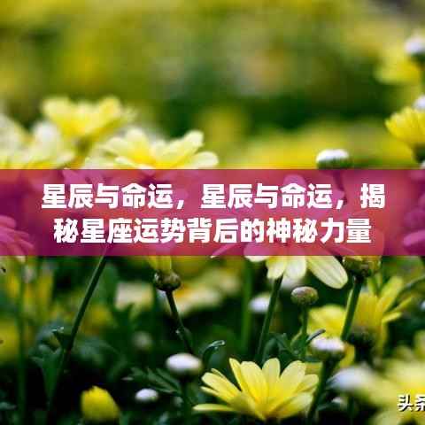 迷离马虎 第5页