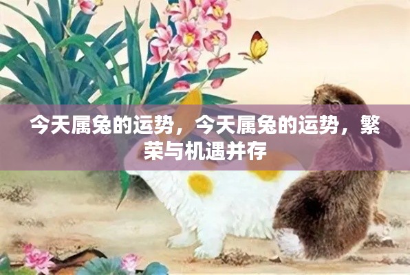 今日属兔运势概览,繁荣与机遇并存,把握好运共创辉煌!