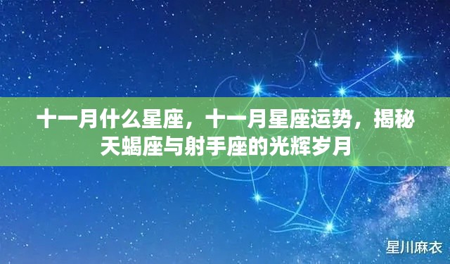 揭秘十一月星座运势,天蝎座与射手座的辉煌岁月与运势展望