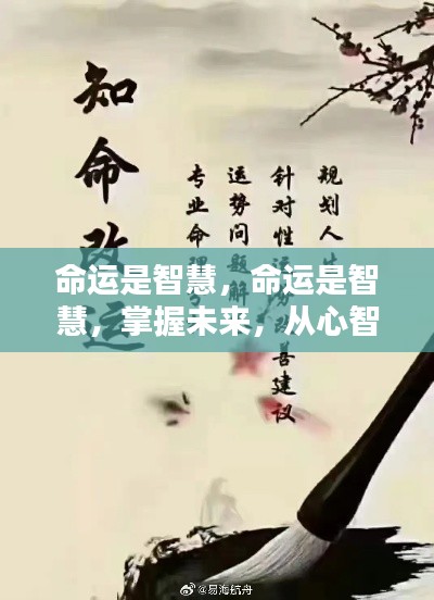 心智觉醒,掌握命运之智慧,开启未来之门之路