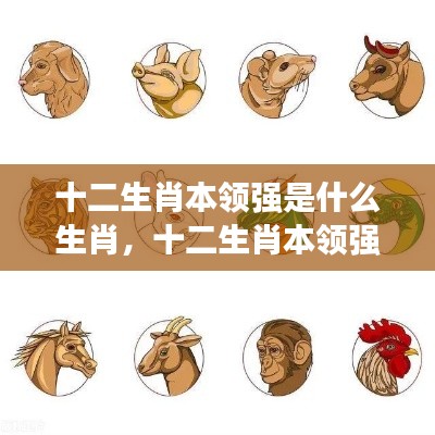 全神贯注 第5页