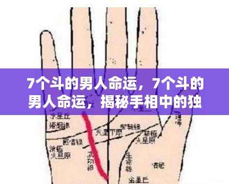 鸷鸟不群 第4页