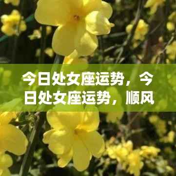 处女座今日运势顺风顺水,把握机会的关键时刻