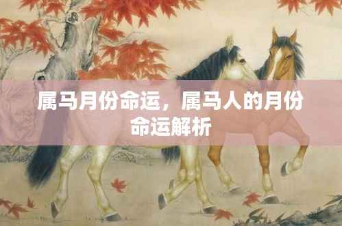 属马人的月份命运解析,揭示不同月份的命运走向