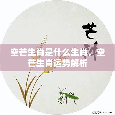 空芒生肖运势深度解析,探寻生肖奥秘,掌握未来走向