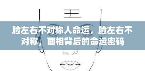 面相揭秘,脸左右不对称背后的命运密码与人生轨迹