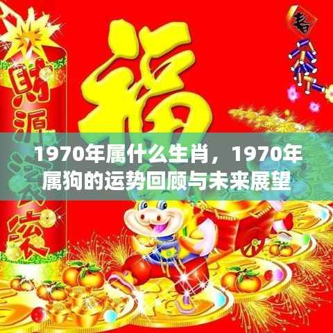 1970年属狗的运势回顾与未来展望,命运轨迹深度解析