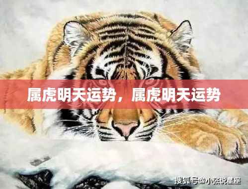 属虎明日运势预测