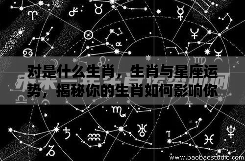 揭秘生肖与星座运势,生肖如何影响未来走向?