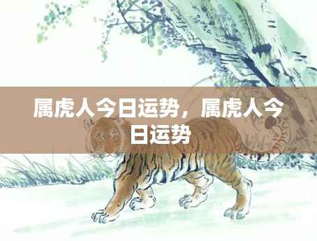 属虎人今日运势详解