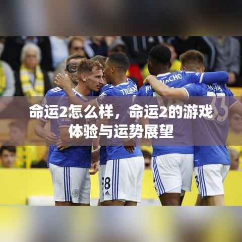 命运2,游戏深度体验与运势展望