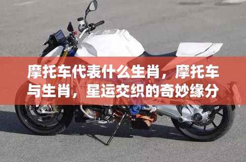 摩托车与生肖,星运交织的奇妙缘分探索