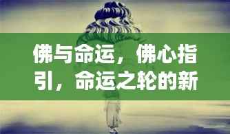 佛心指引,命运之轮的新解读与探索