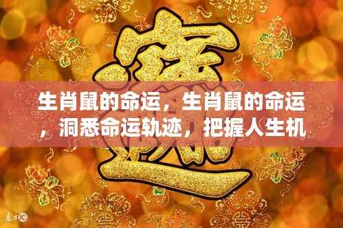 生肖鼠命运解析,洞悉人生轨迹,把握机遇之门