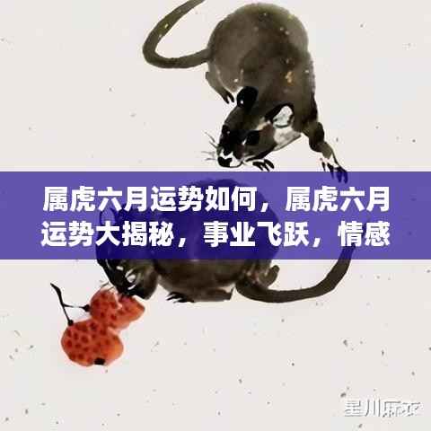 属虎六月事业飞跃、情感甜蜜,运势大揭秘