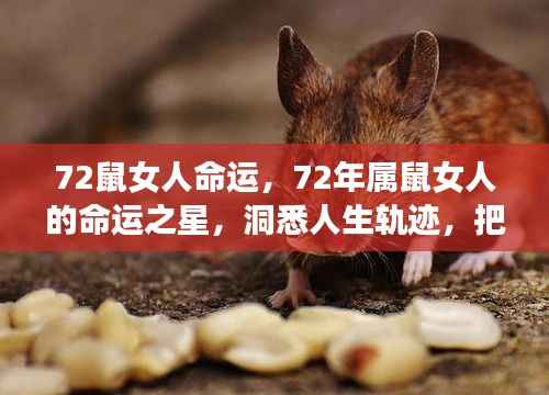 洞悉命运之星,72年属鼠女性命运深度解析与未来展望
