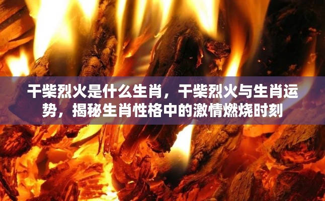 揭秘生肖激情燃烧时刻,干柴烈火与生肖运势的关联分析