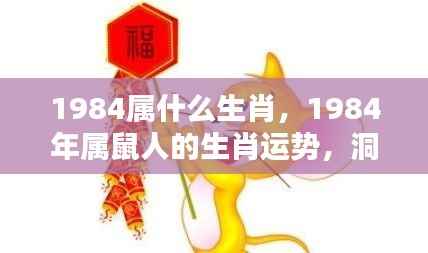 1984年属鼠人的命运运势,机遇与挑战并存