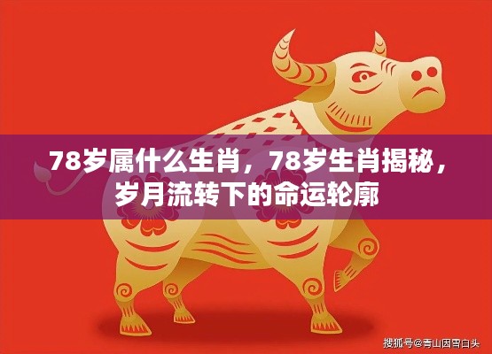 揭秘生肖轮回,探寻78岁命运之轮下的生肖秘密