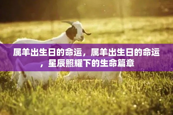 星辰照耀下的属羊命运篇章,揭秘属羊出生日的生命轨迹