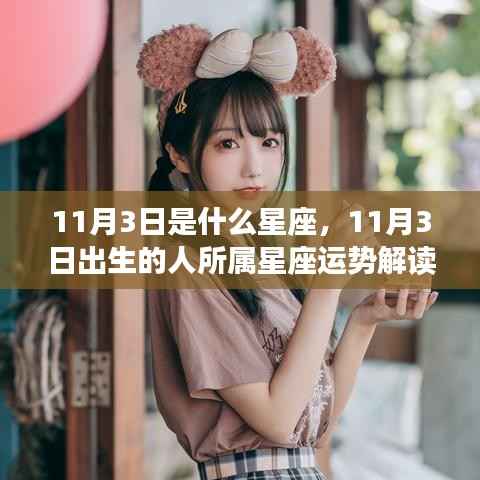 11月3日出生者的星座运势解读,揭秘天蝎座特性与运势展望