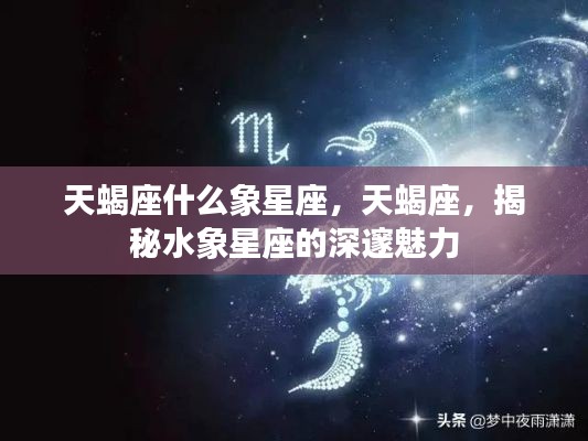 揭秘天蝎座,水象星座的深邃魅力探索