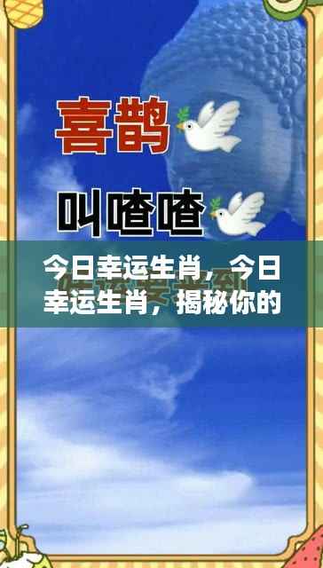 揭秘今日幸运生肖,掌握好运密码!