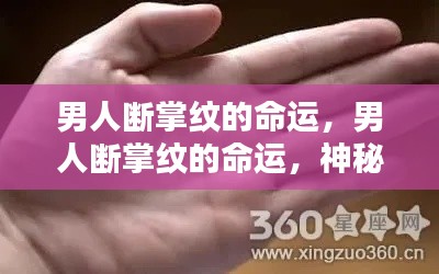 男人断掌纹与命运,神秘纹路的解读与解析