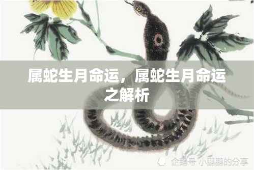 怀真抱素 第4页