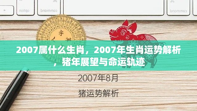 2007年属猪人的生肖运势解析与命运展望