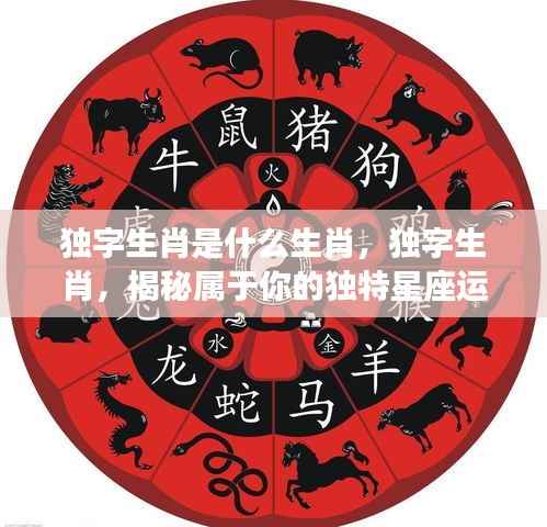 揭秘独字生肖,独特星座运势解析