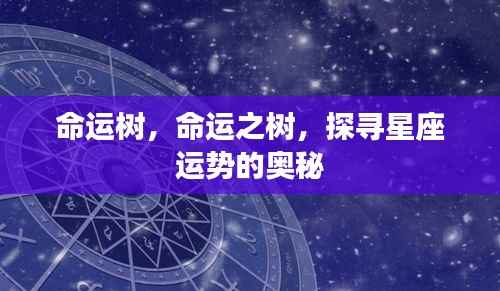 命运树,探寻星座运势奥秘的旅程
