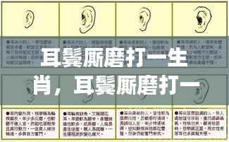 生肖与星座的微妙联系,耳鬓厮磨下的深度解读