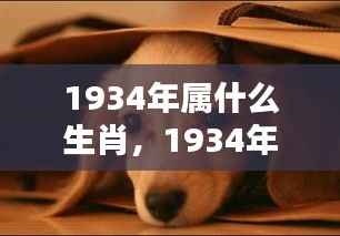 揭秘生肖狗,揭秘1934年属狗的命运之星与岁月轨迹