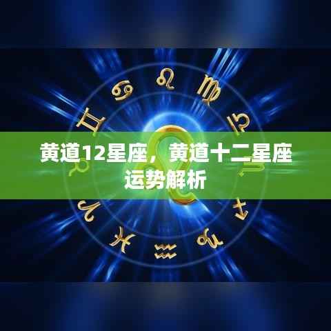 黄道十二星座运势深度解析