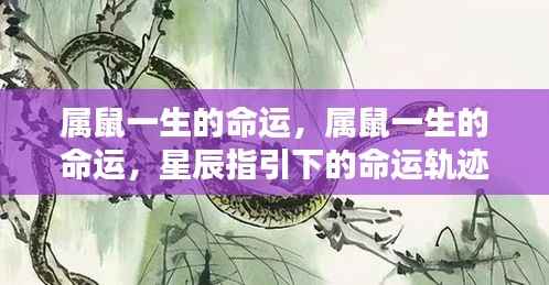属鼠人的命运轨迹,星辰指引下的生命之旅