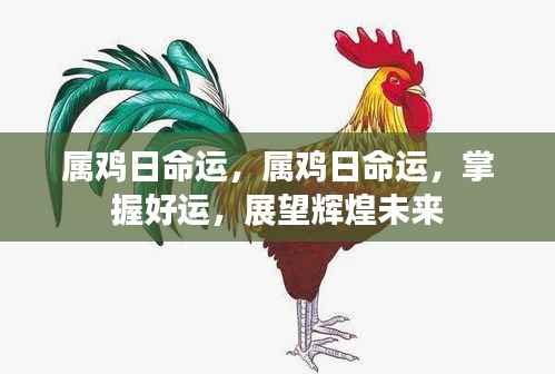 属鸡人的命运展望,把握好运,迎接辉煌未来