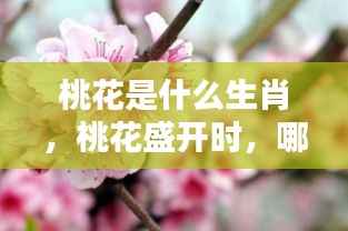 桃花生肖魅力揭秘,盛开之际哪些生肖独具魅力?