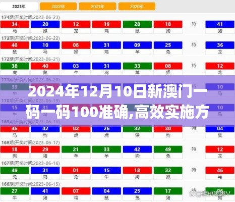 2024年12月10日新澳门一码一码100准确,高效实施方法解析_战斗版7.329