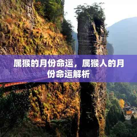 属猴人的月份命运详解与解析