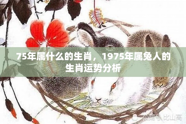 1975年属兔人的生肖运势详解