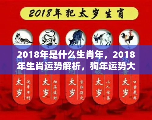 揭秘2018狗年运势,生肖运势详解与运势大揭秘