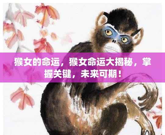 猴女的命运揭秘,掌握关键,未来展望可期!